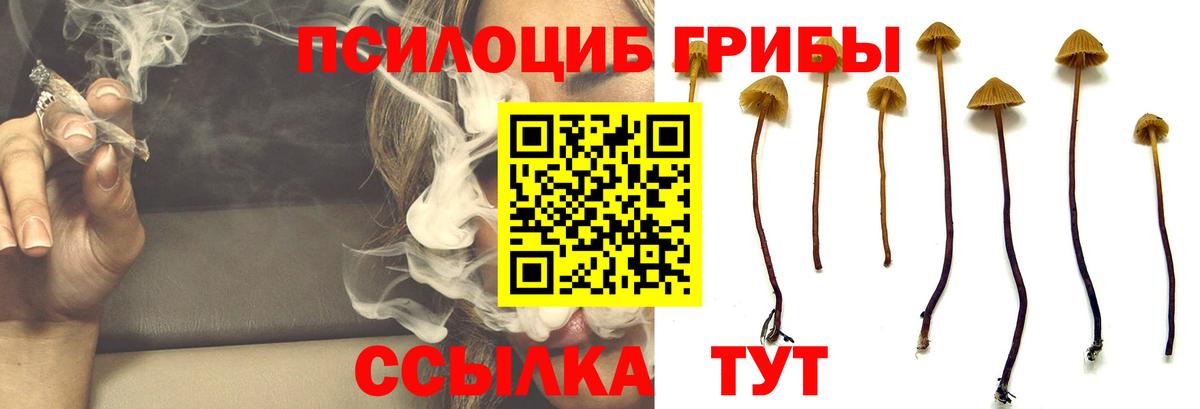 Метадон  Гашиш  Вход с VPN  Амфетамин   Родники  Меф   Каннабис  COCAIN  Меф 