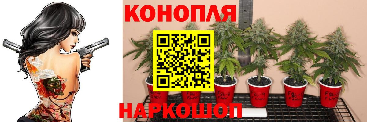 Каннабис гибрид Родники
